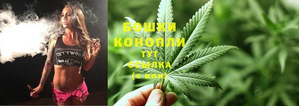 шишки Краснослободск
